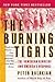 The Burning Tigris: The Arm...