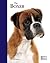 Boxer: Pet Book (Best of Breed)