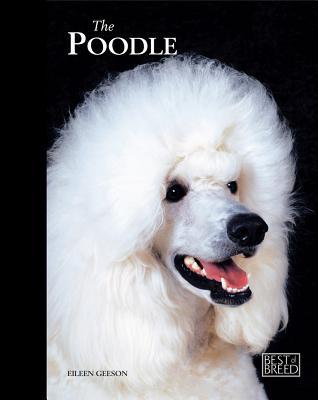 Poodle: Pet Book (Best of Breed)