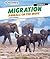 Migration: Animals on the Move (Discovery Education: Animals)