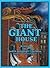 The Giant House