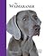Weimaraner by Patsy Hollings
