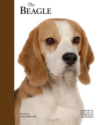 The Beagle (Best of Breed)