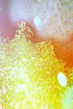 La metamúsica (ebook)