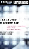 The Second Machine Age by Erik Brynjolfsson