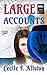 Large Accounts