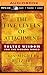 The Five Levels of Attachment by Miguel Ruiz Jr.