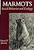 Marmots: Social Behavior and Ecology