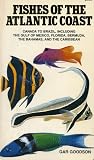 Fishes of the Atlantic Coast: Canada to Brazil, Including the Gulf of Mexico, Florida, Bermuda, the Bahamas, and the Caribbean