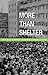 More Than Shelter by Amy L. Howard More Than Shelter by Amy L. Howard