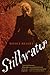 Stillwater: A Sweeping Literary Civil War Epic – Divided Twins and the Underground Railroad Journey to Freedom