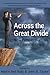 Across the Great Divide: New Perspectives on the Financial Crisis