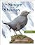 The Singer in the Stream: A Story of American Dippers