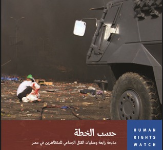 حسب الخطة , مذبحة رابعة وعمليات القتل الجماعى للمتظاهرين فى مصر