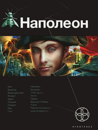 Наполеон. Книга 1. Путь к славе (Этногенез, #34)
