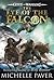 The Eye of the Falcon (Gods And Warriors, #3)