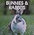 Bunnies and Rabbits (Learn-to-Read Series)