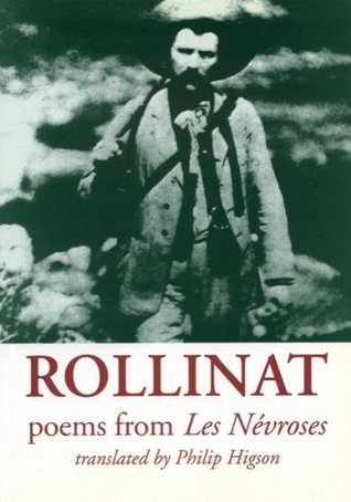 Maurice Rollinat: A Hundred Poems from Les Nevroses (Paperback)