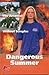 Dangerous Summer: The Arsonist - Without Scruples