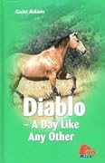 Diablo: A Day Like Any Other