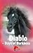 Diablo: Days of Darkness (D...