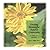 Creating Meaningful Funeral Ceremonies by Alan D. Wolfelt Creating Meaningful Funeral Ceremonies by Alan D. Wolfelt