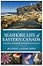 Seashore Life of Eastern Canada: A guide to identifying intertidal marine species