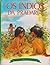Os Índios da Pradaria