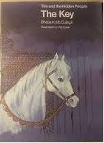 The Key (Tim and the Hidden People Book A8)