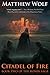 Citadel of Fire (The Ronin Saga, #2)