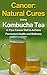 Cancer: Natural Remedies: Using Kombucha Tea in Your Cancer Diet to Achieve Permanent Health and Wellness (Cancer, Cancer Free, Cancer Diet, Cancer Cure, ... Remedies, Kombucha Tea, Natural Cures)