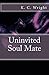 Uninvited Soul Mate