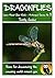 DRAGONFLIES: Learn About Your World - Arthropod Series Book 5 (Nature - Arthropod Series)