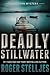 Deadly Stillwater (McRyan Mystery, #2)