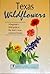 Texas Wildflowers: A Beginner's Field Guide to the State's Most Common Flowers (Interpreting the Great Outdoors)