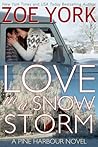 Love in a Snow Storm
