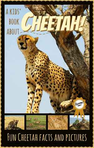 All About Cheetahs: Fascinating Cheetah Facts for Kids with Stunning Pictures! (6-10 years old)