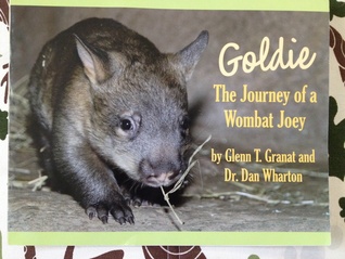 Goldie: The Journey of a Wombat Joey
