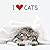 I Love Cats