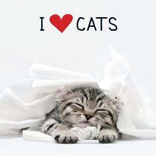 I Love Cats (Hardcover)