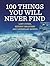 100 Things You Will Never Find by Daniel Smith