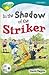 In the Shadow of the Striker (Oxford Reading Tree: Stage 16: TreeTops)
