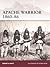 Apache Warrior 1860–86 (War...