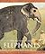Elephants /anglais