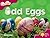 Odd Eggs