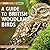 A Guide To British Woodland Birds