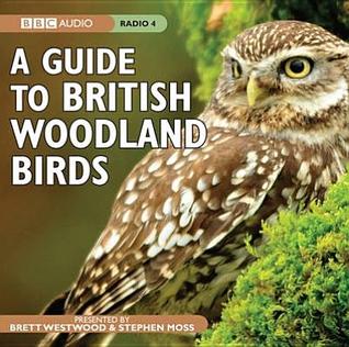 A Guide To British Woodland Birds