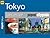 AA Popout Cityguides Tokyo