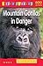 Mountain Gorillas in Danger