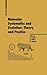 Molecular Systematics and Evolution: Theory and Practice (Experientia Supplementum, 92)